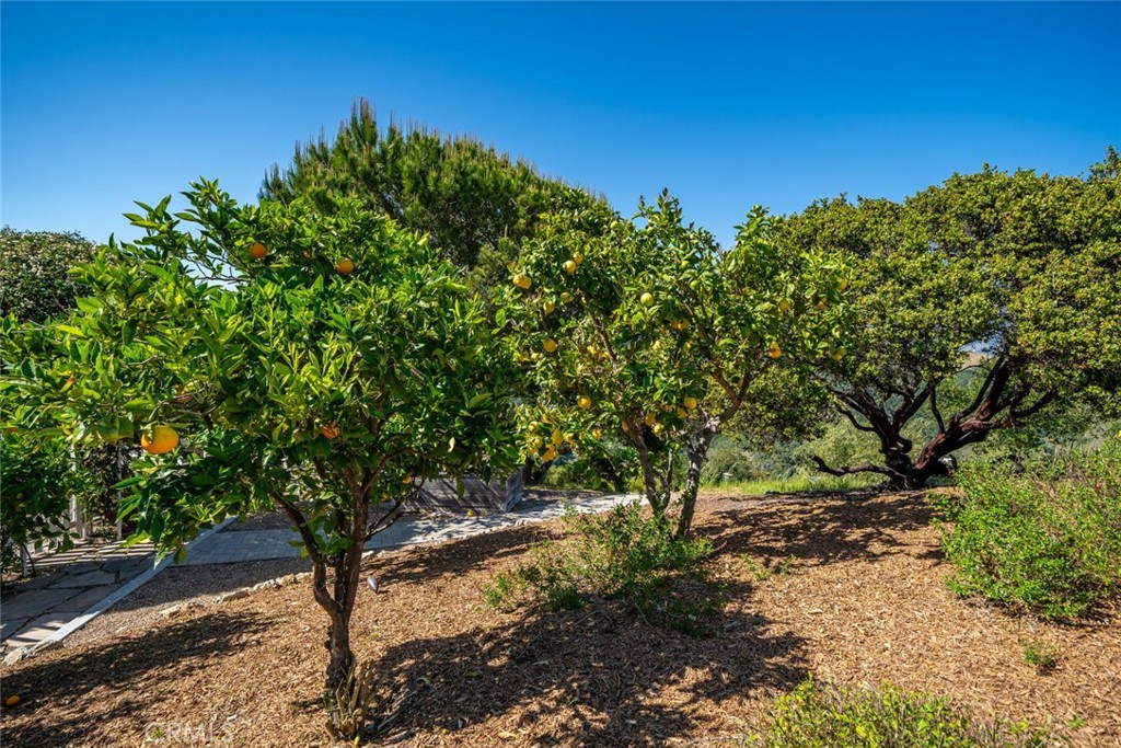 2650 Skyview Trl, San Luis Obispo, CA 93405