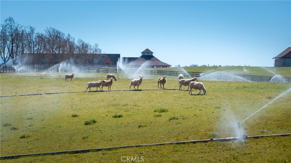 5010 Gate 4 Rd., Paso Robles, CA 93446