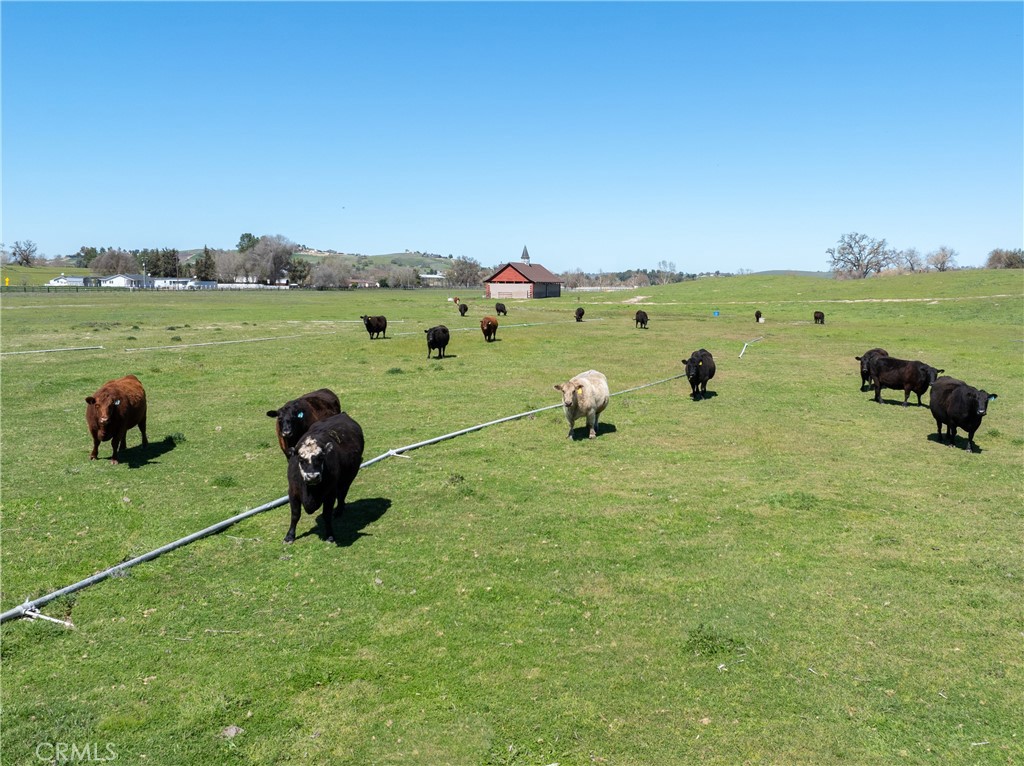 5010 Gate 4 Rd., Paso Robles, CA 93446