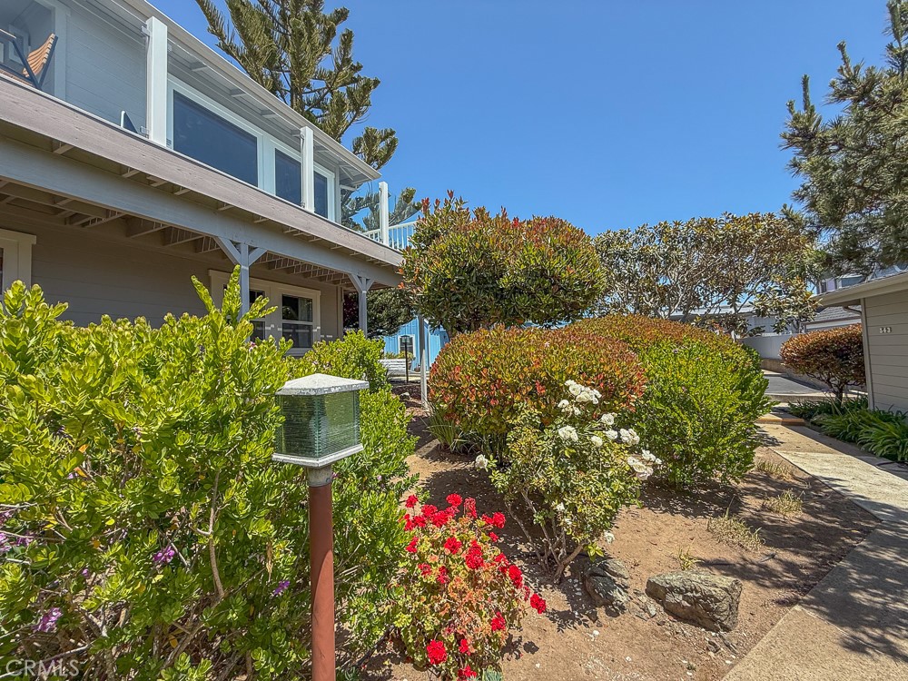 557 Lucerne St., Cayucos, CA 93430