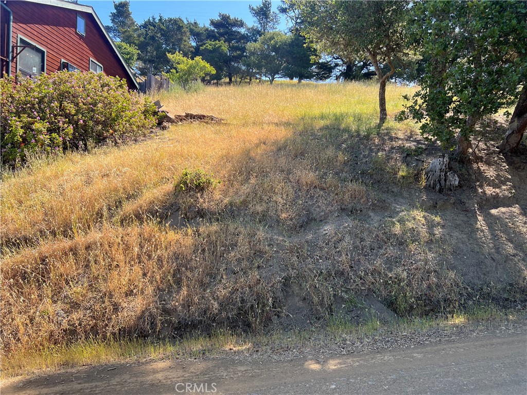0 Pierce Ave, Cambria, CA 93428