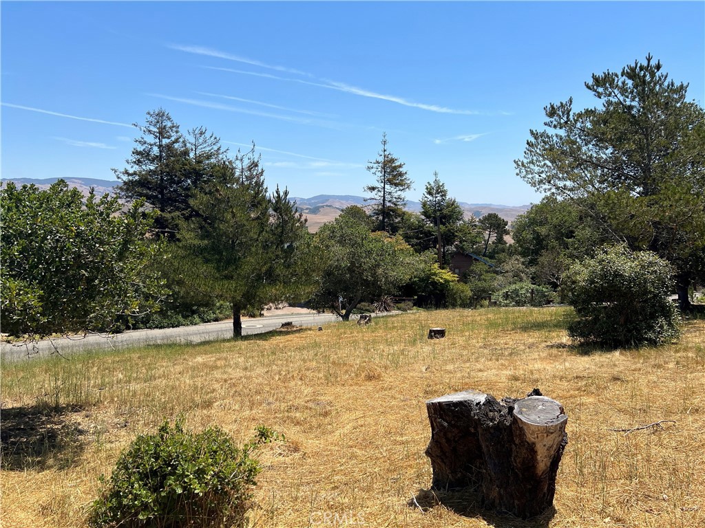 0 Pineridge Dr, Cambria, CA 93428