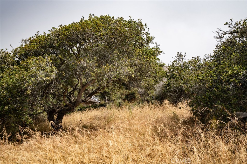 0 Ash St, Los Osos, CA 93402