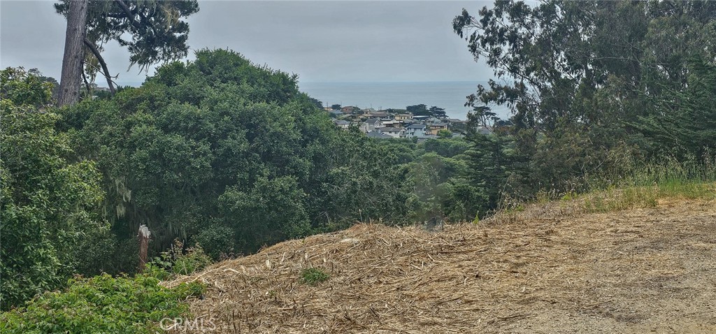 0 Croyden Ln, Cambria, CA 93428