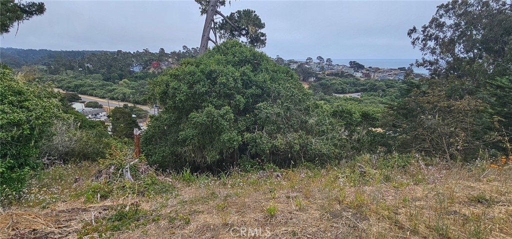 0 Croyden Ln, Cambria, CA 93428