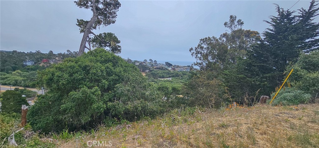 0 Croyden Ln, Cambria, CA 93428