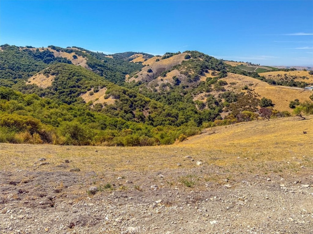 1475 Fern Canyon, Paso Robles, CA 93446