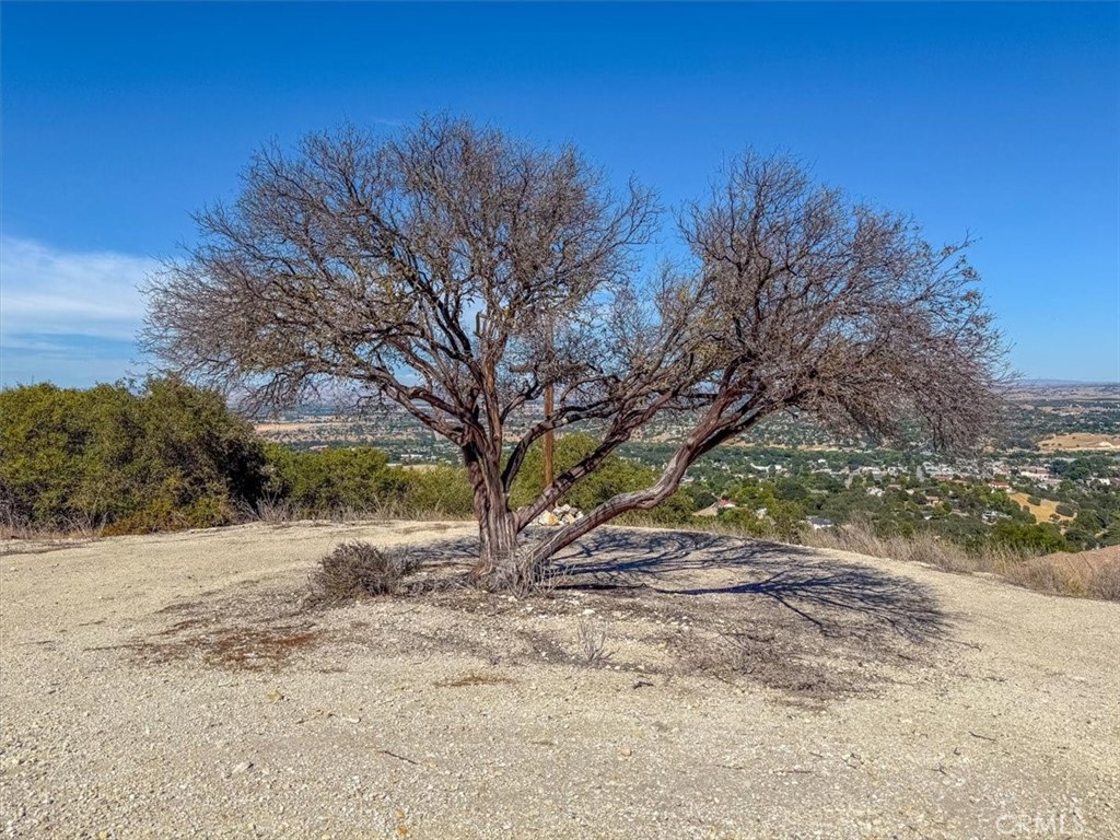 1475 Fern Canyon, Paso Robles, CA 93446