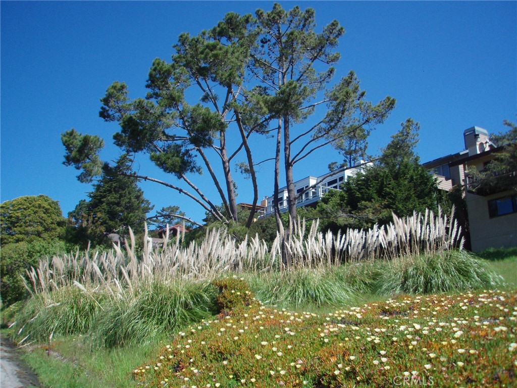 1970 Emmons Rd, Cambria, CA 93428