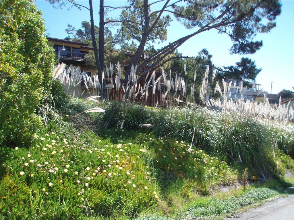 1970 Emmons Rd, Cambria, CA 93428