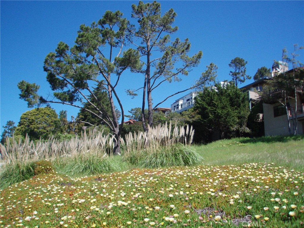 1970 Emmons Rd, Cambria, CA 93428