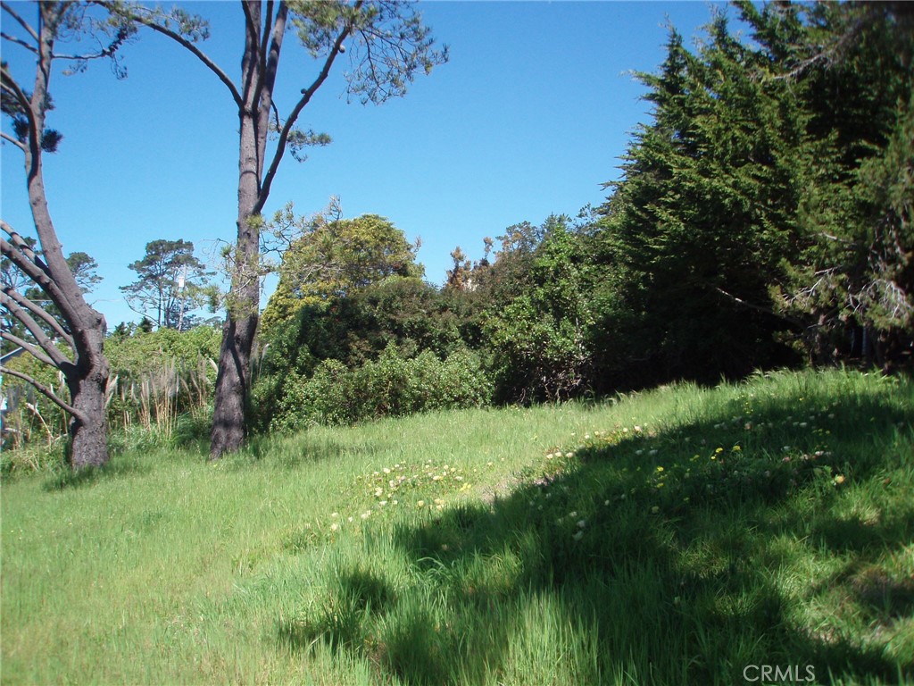 1970 Emmons Rd, Cambria, CA 93428