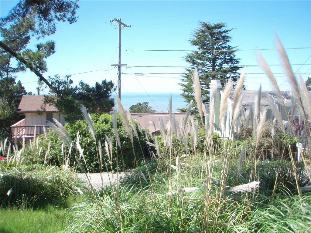 1970 Emmons Rd, Cambria, CA 93428