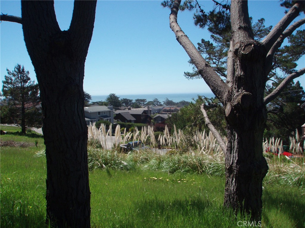 1970 Emmons Rd, Cambria, CA 93428