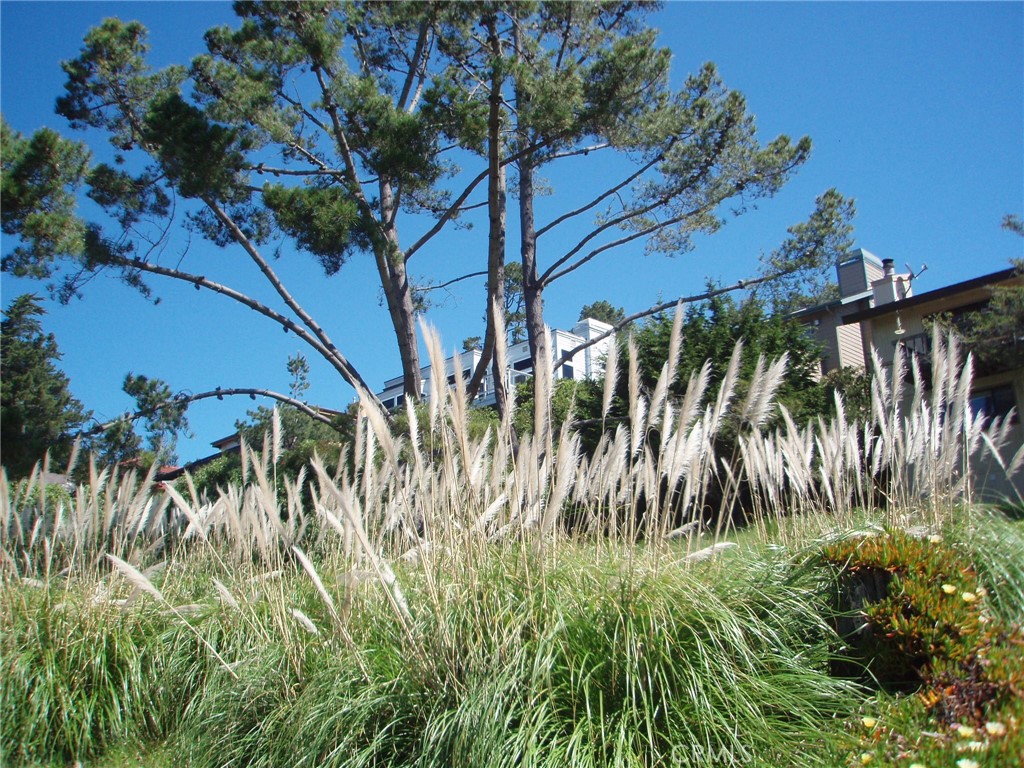 1970 Emmons Rd, Cambria, CA 93428