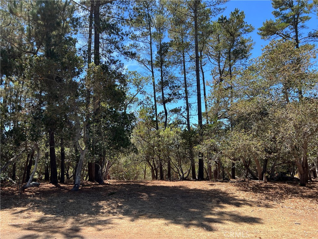 1865 Dreydon Ave, Cambria, CA 93428