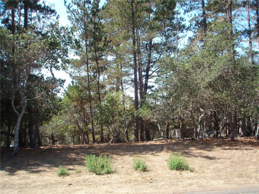 1865 Dreydon Ave, Cambria, CA 93428