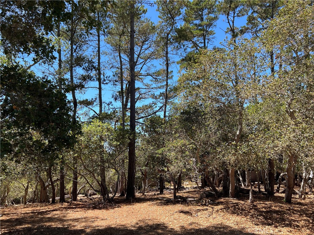 1865 Dreydon Ave, Cambria, CA 93428