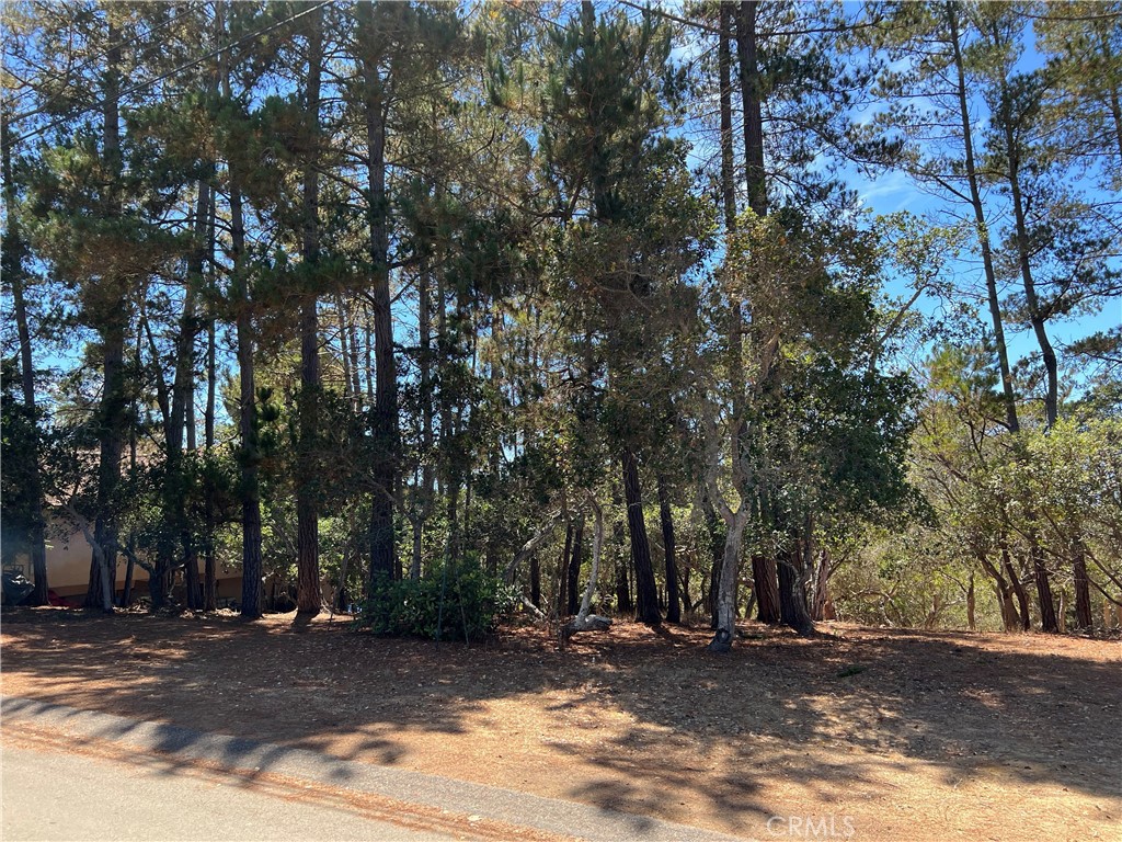 1865 Dreydon Ave, Cambria, CA 93428