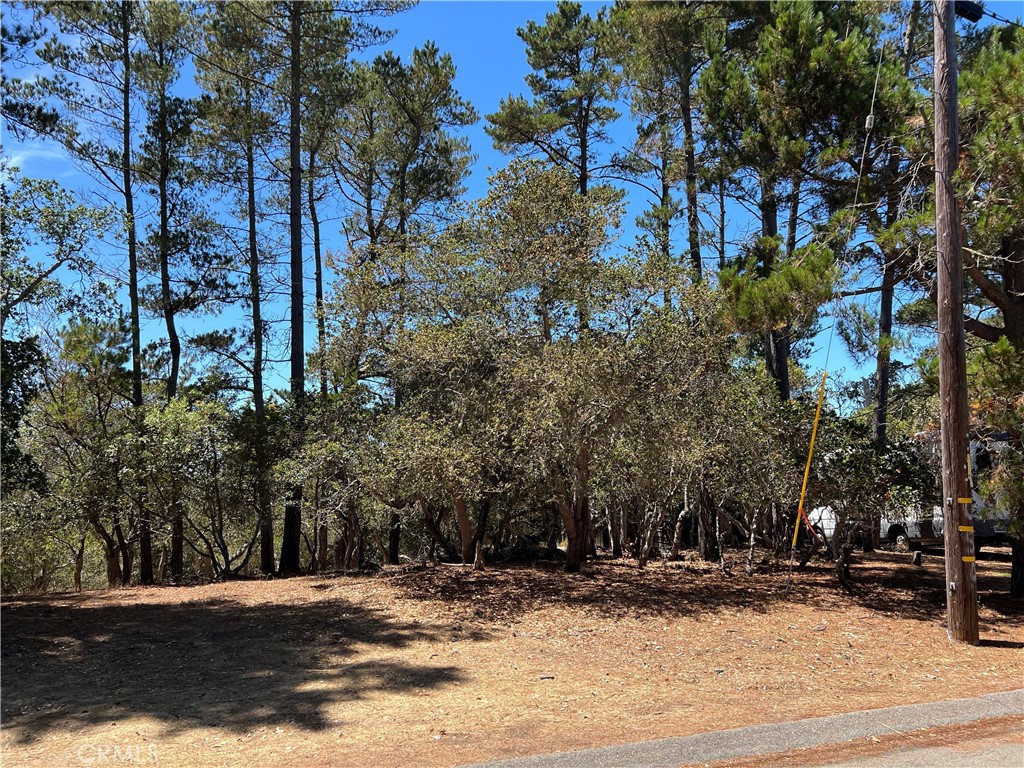 1865 Dreydon Ave, Cambria, CA 93428