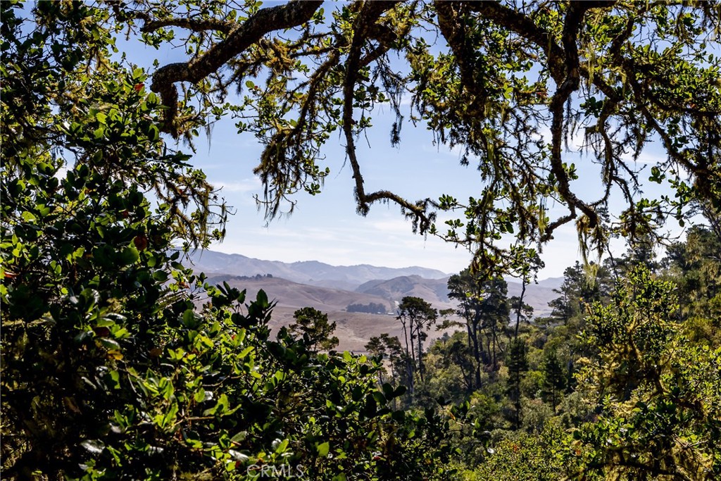 1420 Spencer St, Cambria, CA 93428