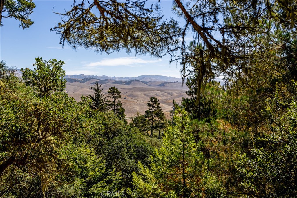 1420 Spencer St, Cambria, CA 93428