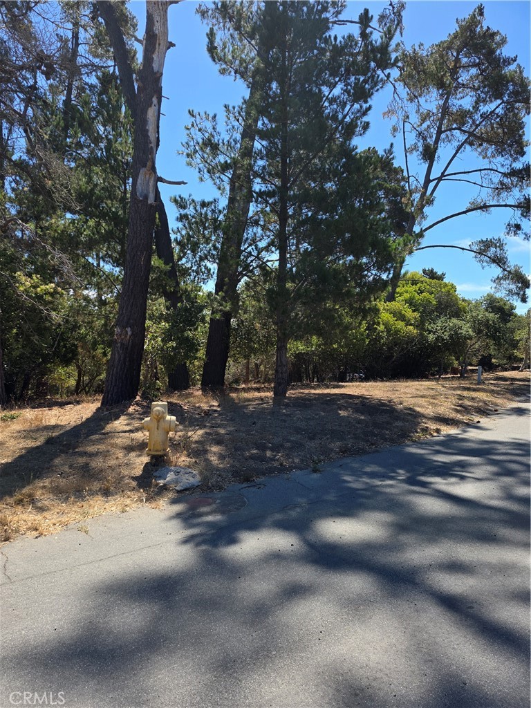 2418 Malvern St, Cambria, CA 93428