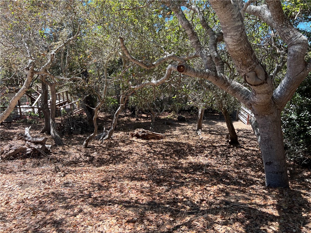 1845 Norwich Ave, Cambria, CA 93428