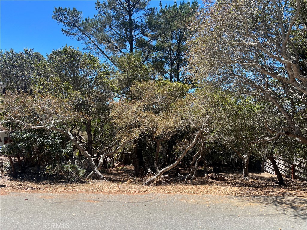 1845 Norwich Ave, Cambria, CA 93428