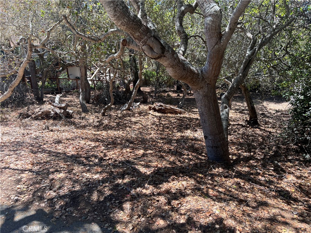 1845 Norwich Ave, Cambria, CA 93428