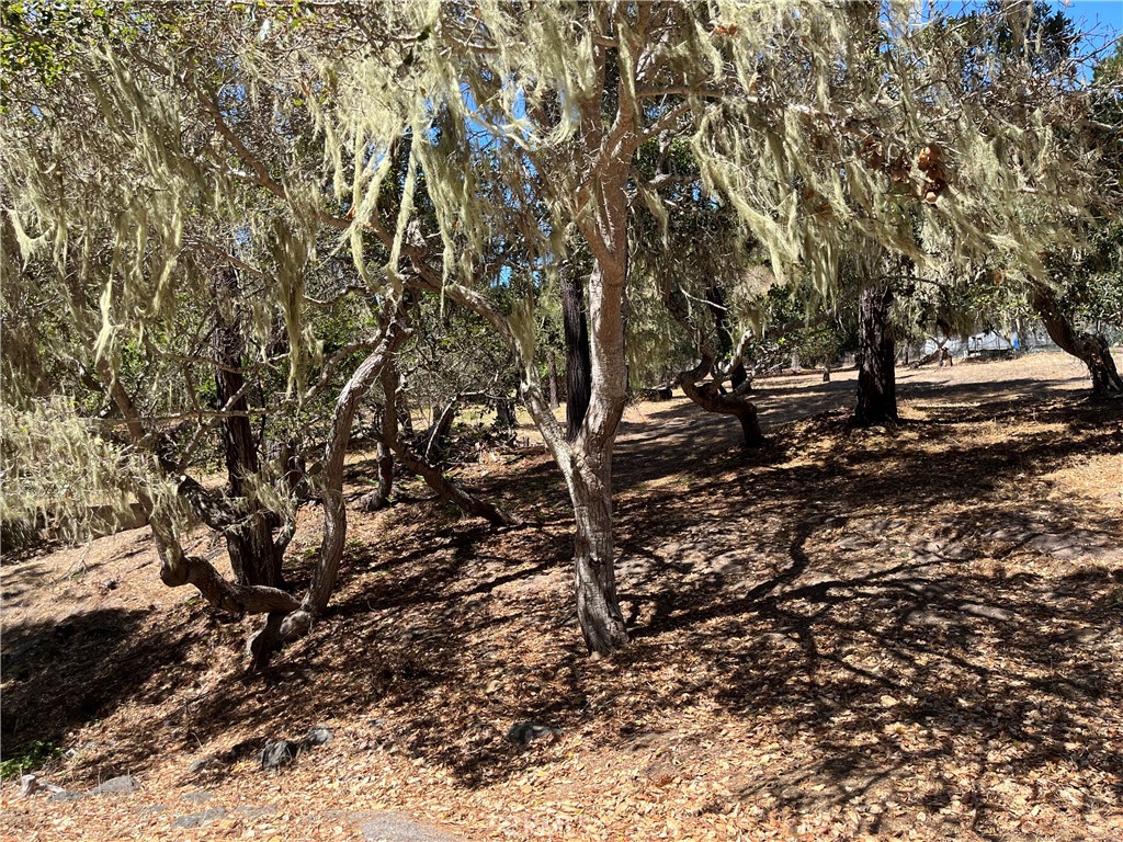 34 Kenneth, Cambria, CA 93428