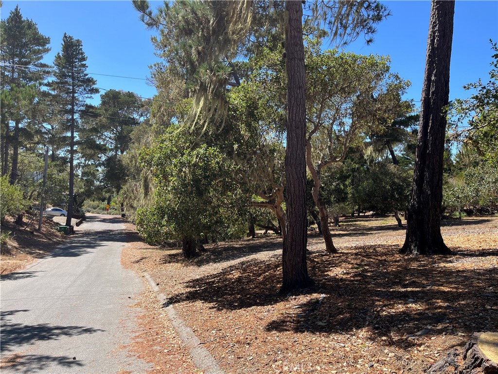 34 Kenneth, Cambria, CA 93428