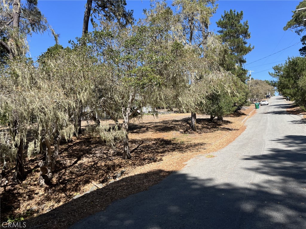 34 Kenneth, Cambria, CA 93428