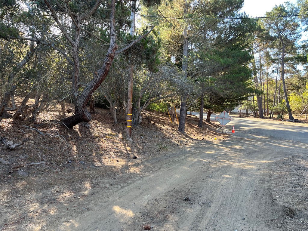 1818 Tweed Ave, Cambria, CA 93428