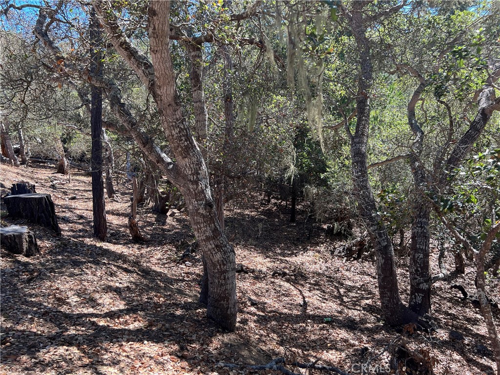 2275 Leona Dr, Cambria, CA 93428