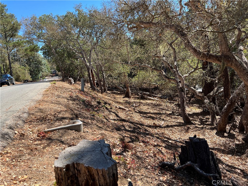 2275 Leona Dr, Cambria, CA 93428