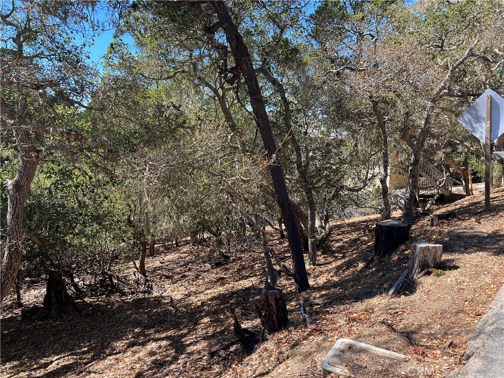 2275 Leona Dr, Cambria, CA 93428