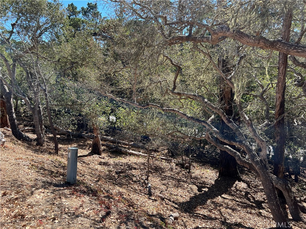 2275 Leona Dr, Cambria, CA 93428