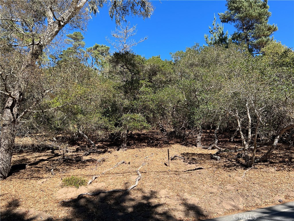 2275 Leona Dr, Cambria, CA 93428