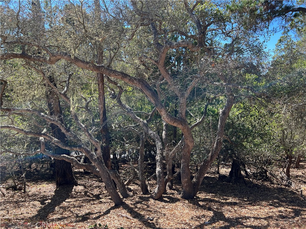 2275 Leona Dr, Cambria, CA 93428