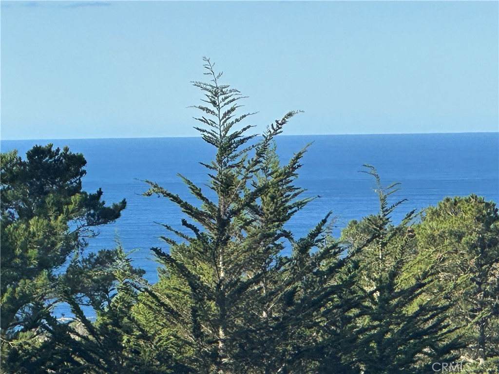 1570 Richard, Cambria, CA 93428