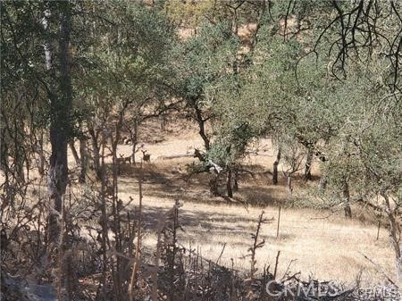 5129 Northfork, Paso Robles, CA 93446