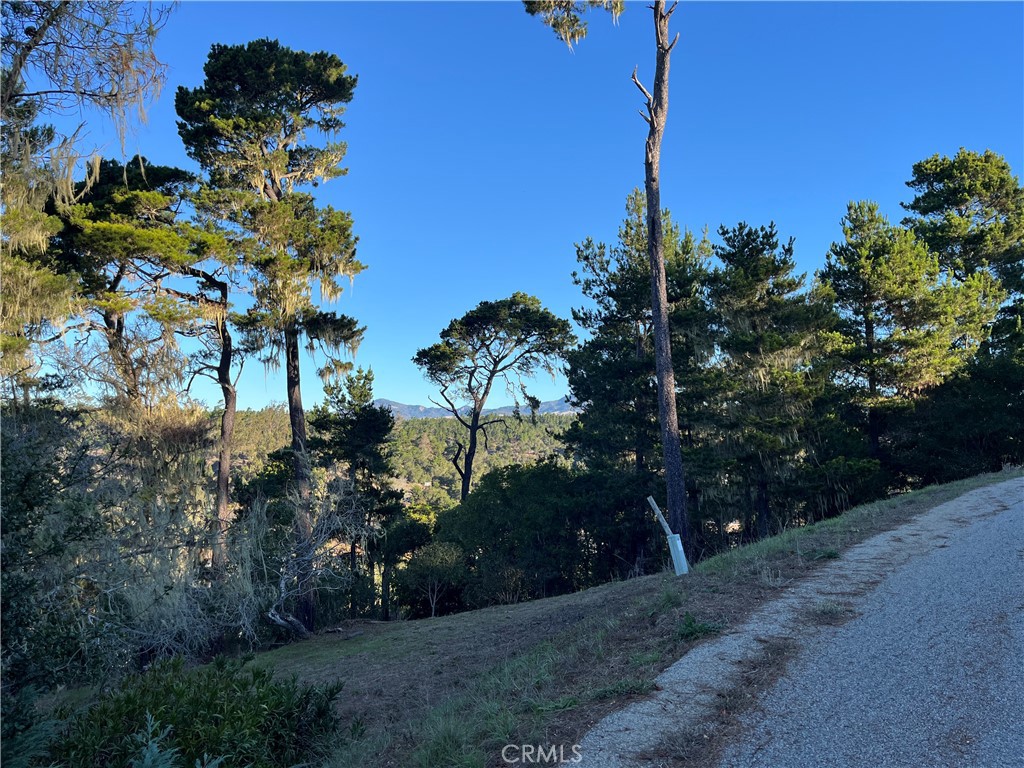 3235 Rogers, Cambria, CA 93428