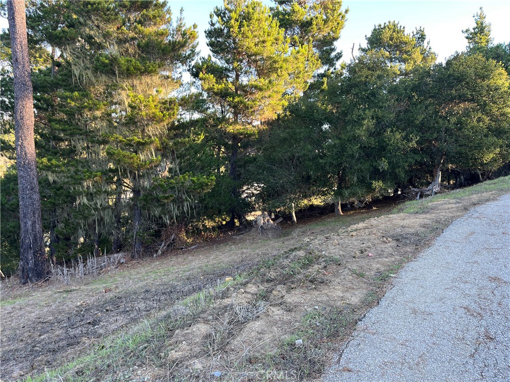 3235 Rogers, Cambria, CA 93428