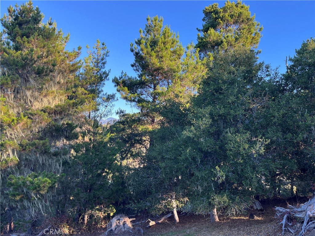 3235 Rogers, Cambria, CA 93428