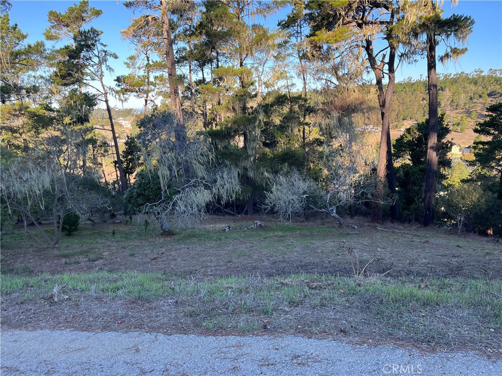 3235 Rogers, Cambria, CA 93428