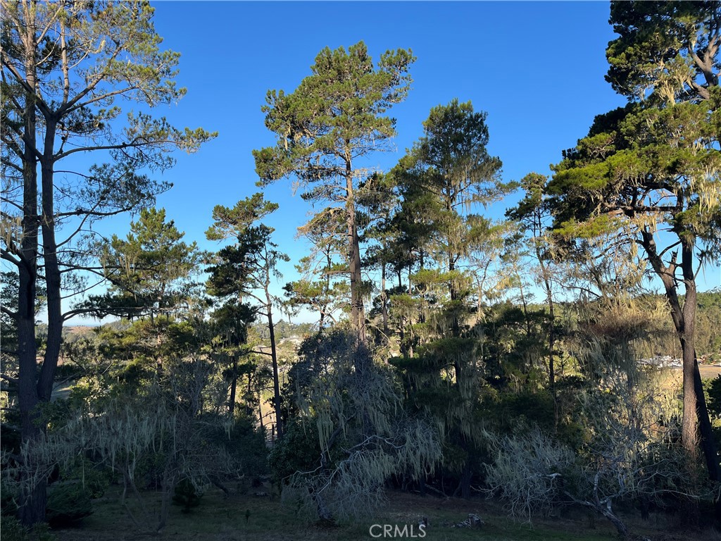 3235 Rogers, Cambria, CA 93428