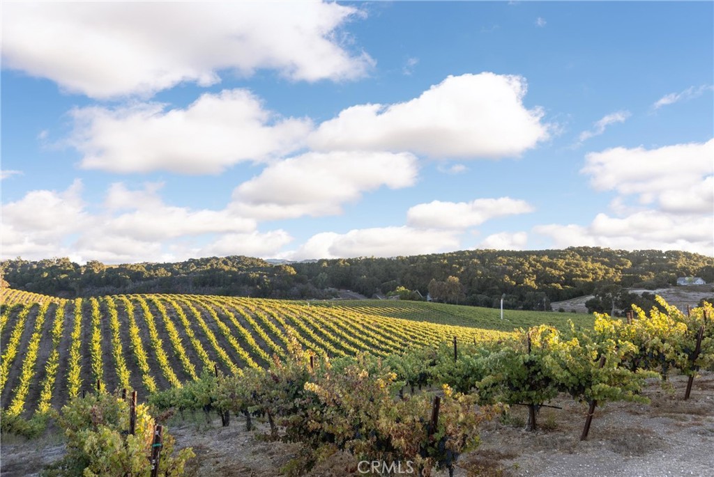 3000 Oakdale Rd., Paso Robles, CA 93446