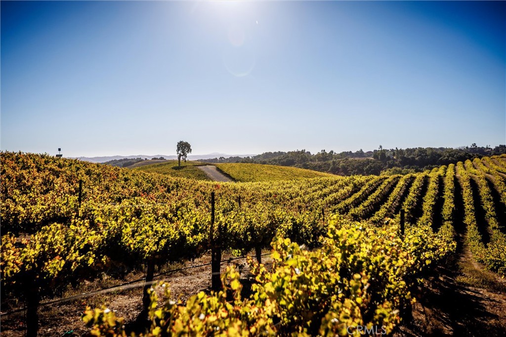 3000 Oakdale Rd., Paso Robles, CA 93446