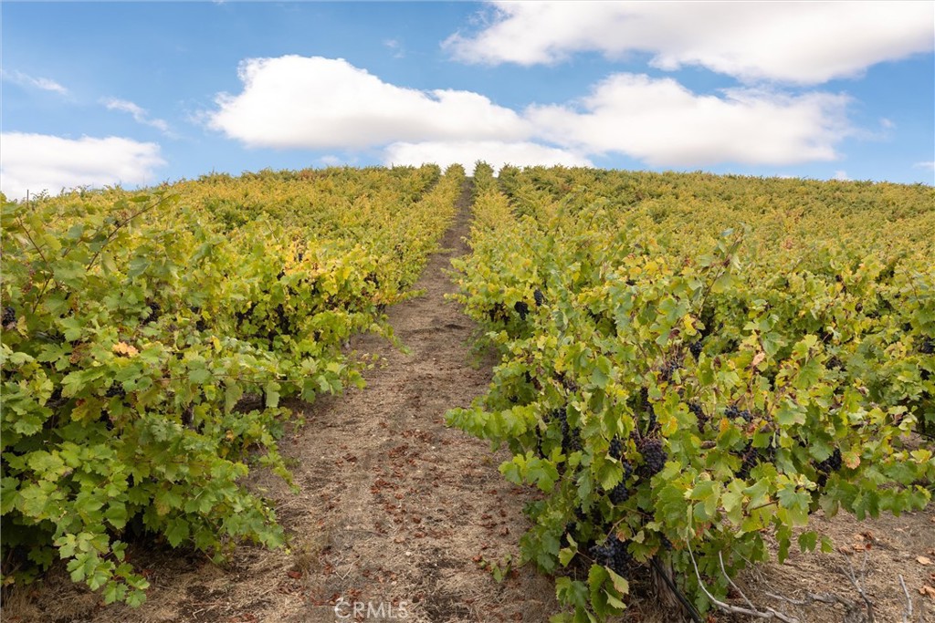 3000 Oakdale Rd., Paso Robles, CA 93446